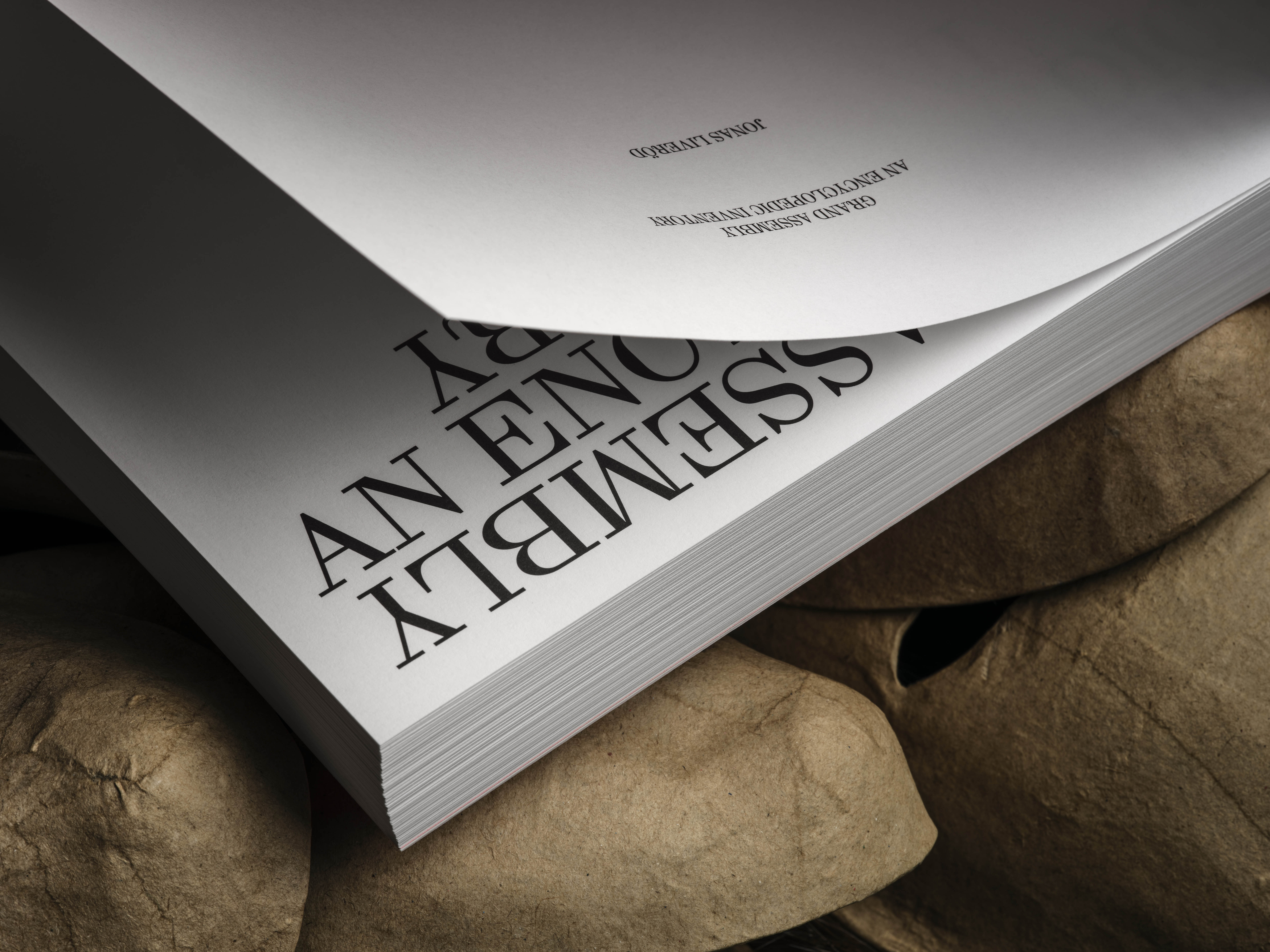 lundgren-lindqvist_lleditions_jonas-liverod_grand-assembly_spreads_detail_title-page_web.jpg