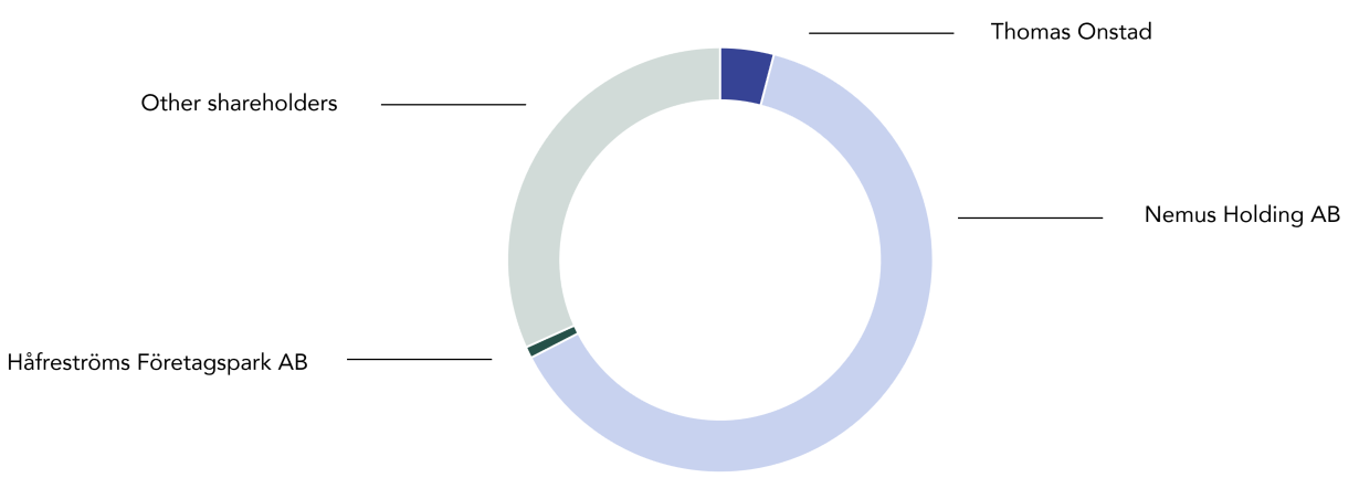 shareholder structure