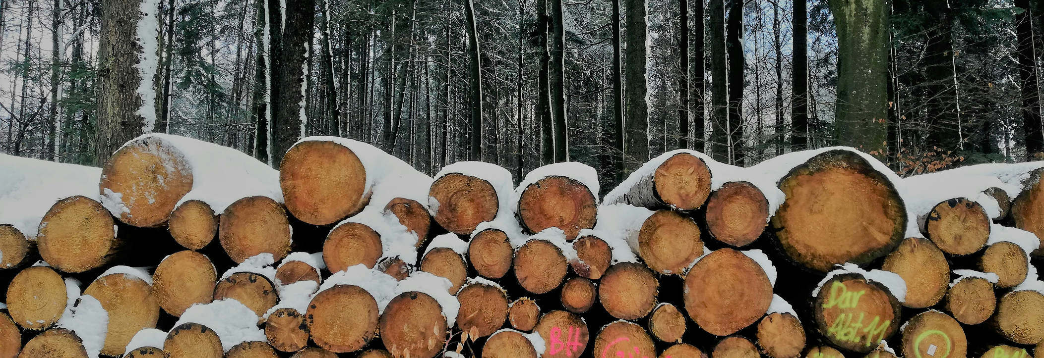wood